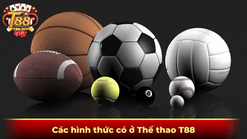 Các hình thức có ở Thể thao T88