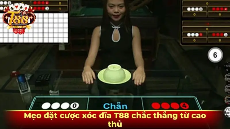 Mẹo đặt cược xóc đĩa T88 chắc thắng từ cao thủ